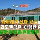 까치부동산중개사무소 이미지