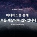 메타버스랩스 주식회사 이미지