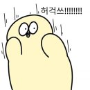 그린카하우스 이미지