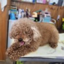 폼나개이뿌개 이미지