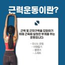 근력운동 이미지