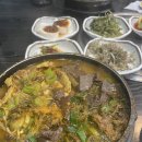 술이술술 이미지