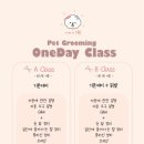 금촌애견 이미지