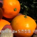 김평진농장 이미지