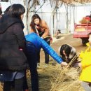 소재덕농장 이미지