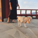 서쪽노을 이미지