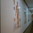 엔돌핀안마원 이미지