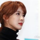 더라이더스인 이미지