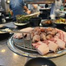여행 3박4일 완벽 코스 추천! 유채꽃 바다 + 바다뷰 카페 + 흑돼지까지 (실제 2인 비용 130만원 솔직 후기)