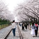 경화역 공원 1 이미지