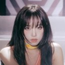 496 이미지