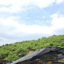 풍년염소농장 이미지