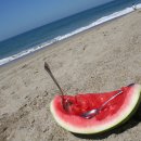 수박이네 이미지