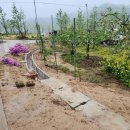 인혁농장 | 경북 영주 부석 명품 사과농장, 대호농장, 시멘트 수로관 공사 후기