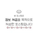 꿈이 자라는 어린이 미술 네이버블로그