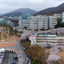 대구한의대학교 대학원 이미지