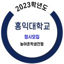 홍익대학교 2023학년도 정시 / 농어촌학생전형 이미지