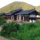 솔밭 1994 이미지