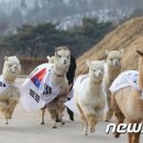 젠담