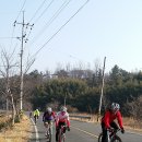 삼팔