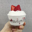 재순농장 | 딸기 산지직송 햇설향 딸기🍓! 지금아니면 겨울까지기다려야된다구ㅠ