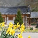 카페로온봄