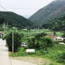 고운리농장 이미지