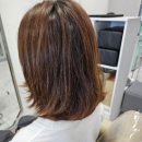 인하대미용실 노드헤어 인하대본점 유준디자이너 레이어드컷 후기