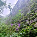 제비초등학교 이미지