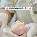 화과당 | 하남 미사 화과자 순수화과 - 정규반 네리끼리2 후기