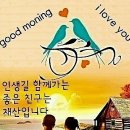 유영하는빛 이미지
