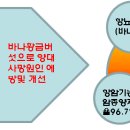 황금버섯 이미지