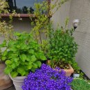 음악관 화장실 이미지