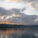 (주)고릴라코리아 이미지