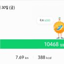 괴안체육공원 이미지