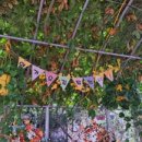 농업기술센터 생활과학관 화장실 이미지