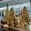 손플라워카페 이미지