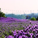 고래정원 네이버블로그