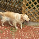 오키도기 이미지