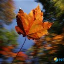 (주)이스트허브 이미지