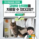 그린축산동물병원