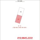 금오대로-4 이미지