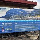 괭이바다 | 제주 성산일출봉 해녀물질공연 관람 후기