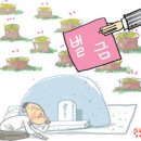 판당판당 이미지