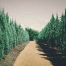 토토로마을 이미지