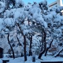 광덕근린공원 이미지