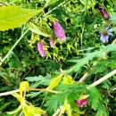 영원(조각) 이미지