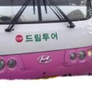 TOP드림투어 네이버블로그