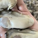 굴찌굴국밥전문점 이미지