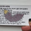 진영팜 이미지